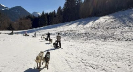 LA CHAPELLE DABONDANCE - MUSHERS H27-1 