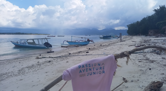 BALI, L'ÎLE DES DIEUX - E26-1 