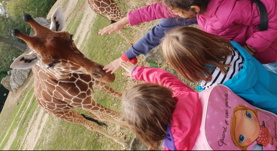 ZOO DE BEAUVAL - A26-1 