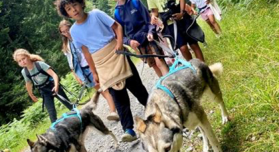 PETIT MUSHER DANS LES PYRENEES-1 