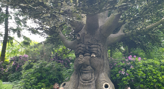 DE BRUXELLES A EFTELING, FRITES, LOOPINGS ET FAIRYTAILES P26-1 