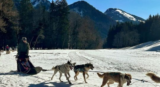 LA CHAPELLE DABONDANCE - BIATHLON H27-1 
