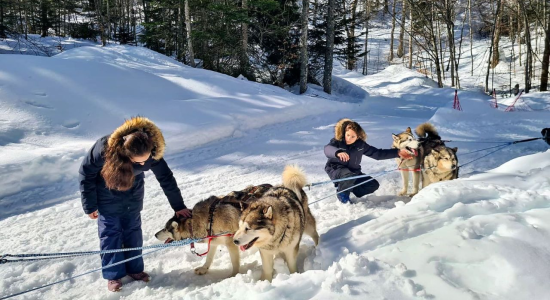 AILLON LE JEUNE - MUSHERS H27-1 