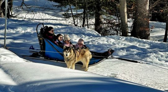 AILLON LE JEUNE - MUSHERS H27-1 