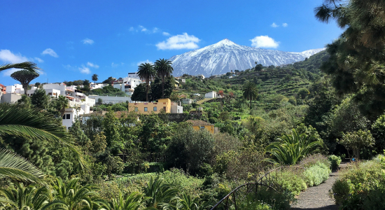 AVENTURE VOLCANIQUE À TÉNÉRIFE - E26-1 