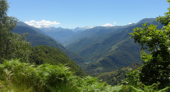 DRONE ET ROBOTIQUE DANS LES PYRENEES-1 