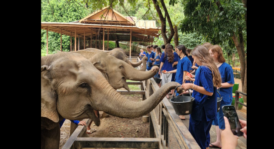 THAÏLANDE, DES TEMPLES AUX PLAGES DE RÊVE-1 