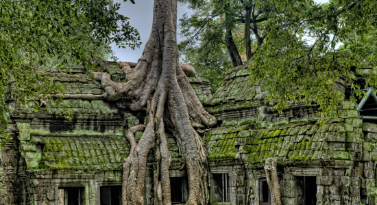 VIETNAM ET CAMBODGE - E26-1 