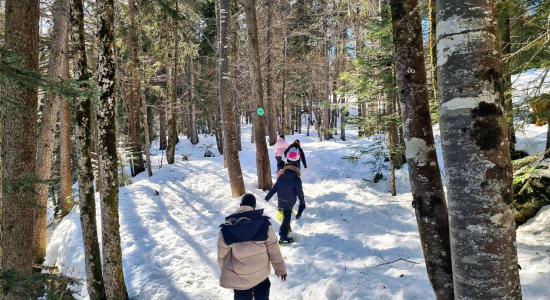 AILLON LE JEUNE - SKI ALPIN H27-1 