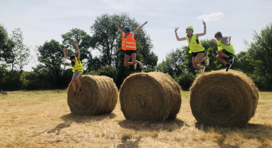 ZOOS EN FOLIE - E26-1 