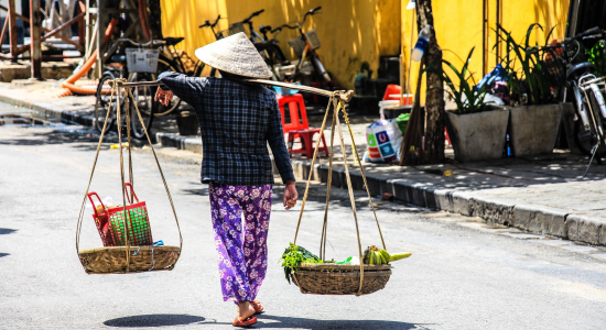 AU COEUR DU VIETNAM - E26-1 