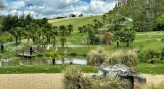 Spectacle des oiseaux