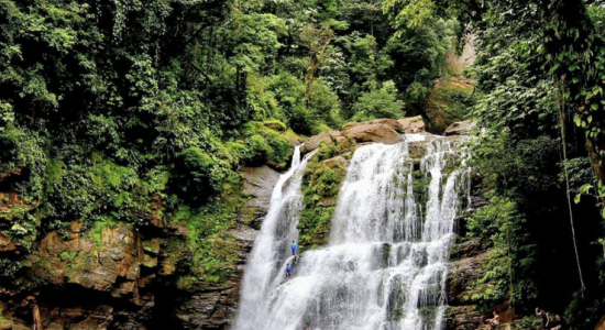 COSTA RICA : AU PAYS DE L'OR VERT - E26-1 