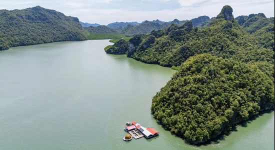 MALAISIE ET SINGAPOUR, AVENTURE TROPICALE ET URBAINE - E26-1 